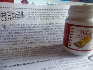 先程のつづき