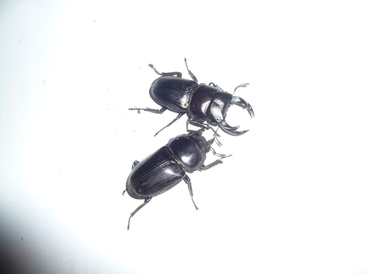 ご無沙汰でした。