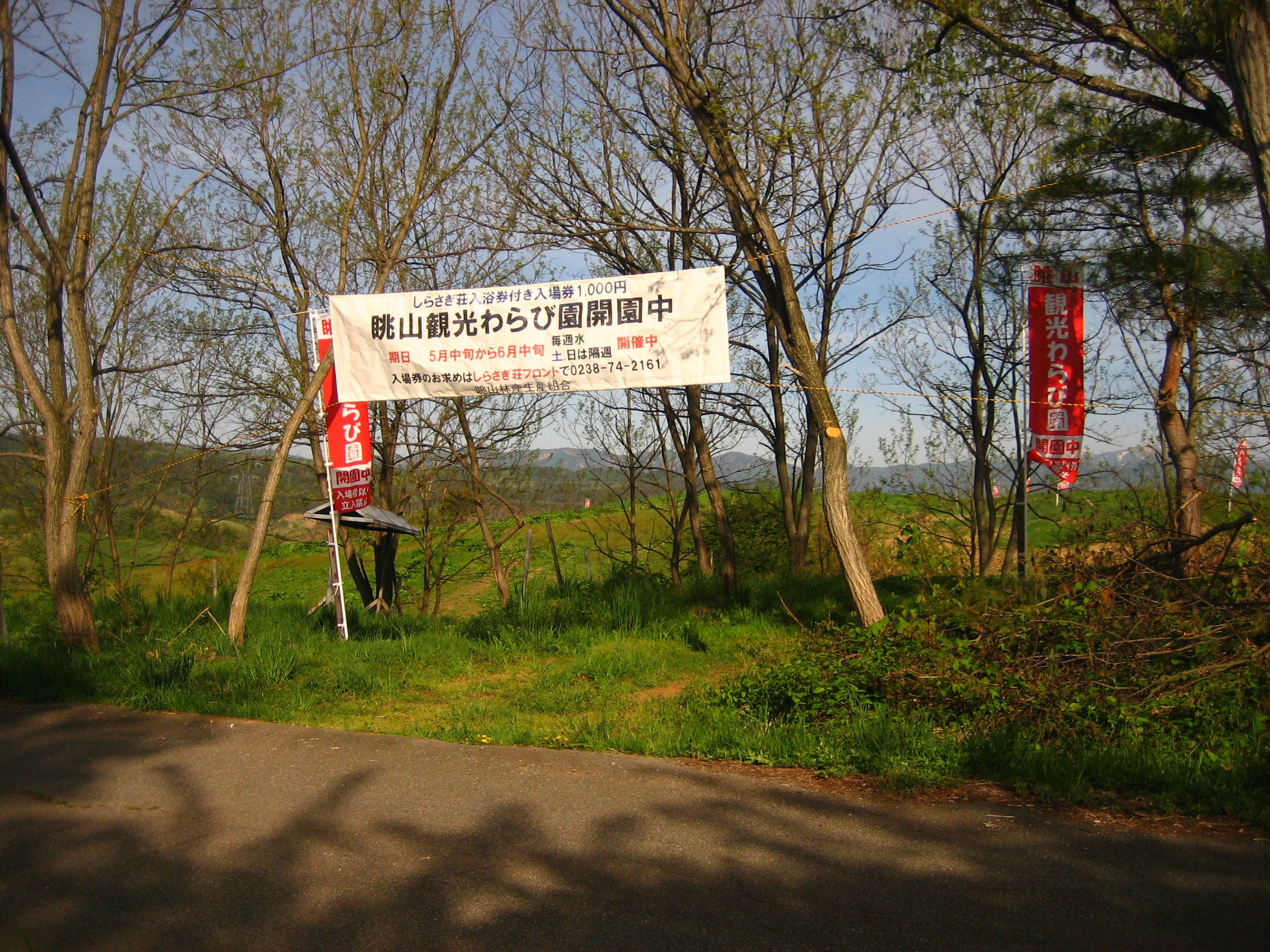 本日5月18日８時より眺山観光わらび園オープン