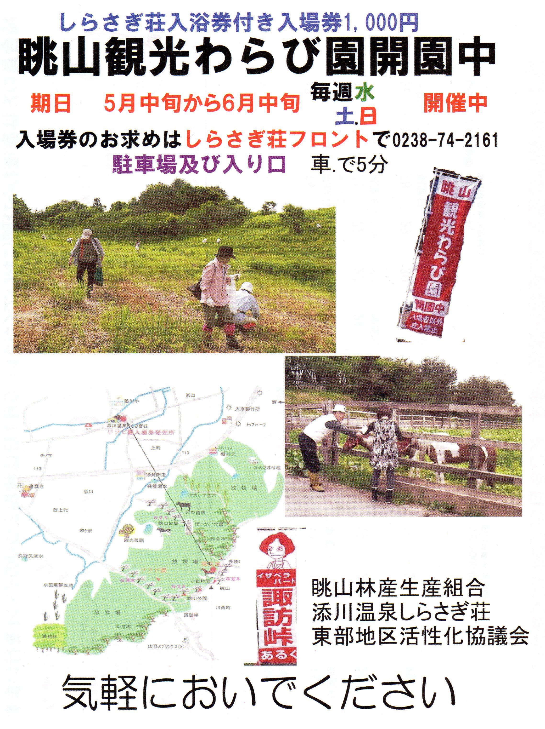 眺山観光わらび園オープンしました