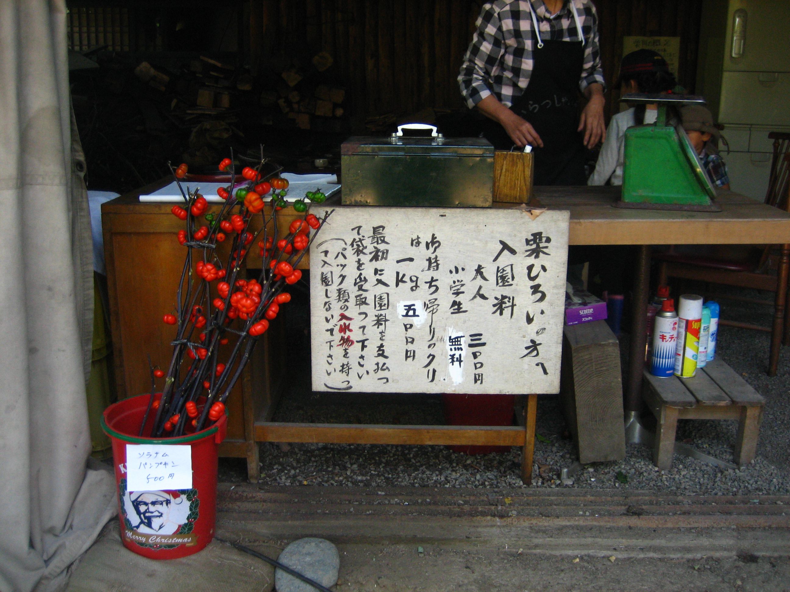眺山観光栗園オープン中です