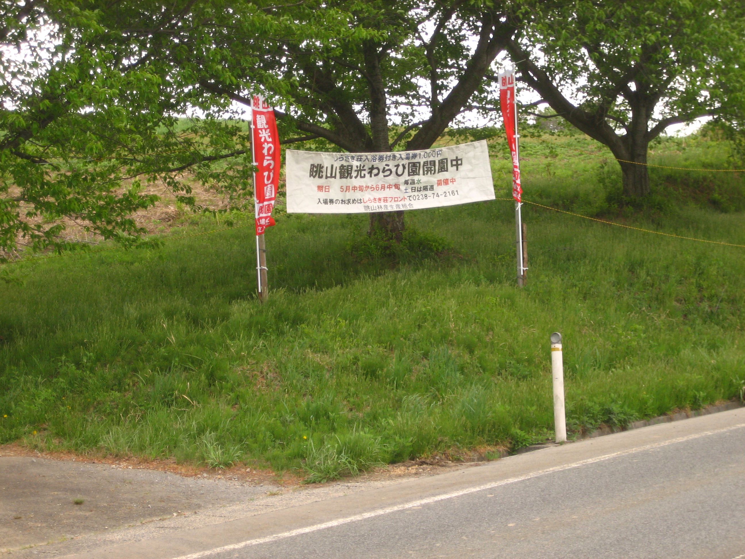 平成２７年度眺山観光わらび園オープン