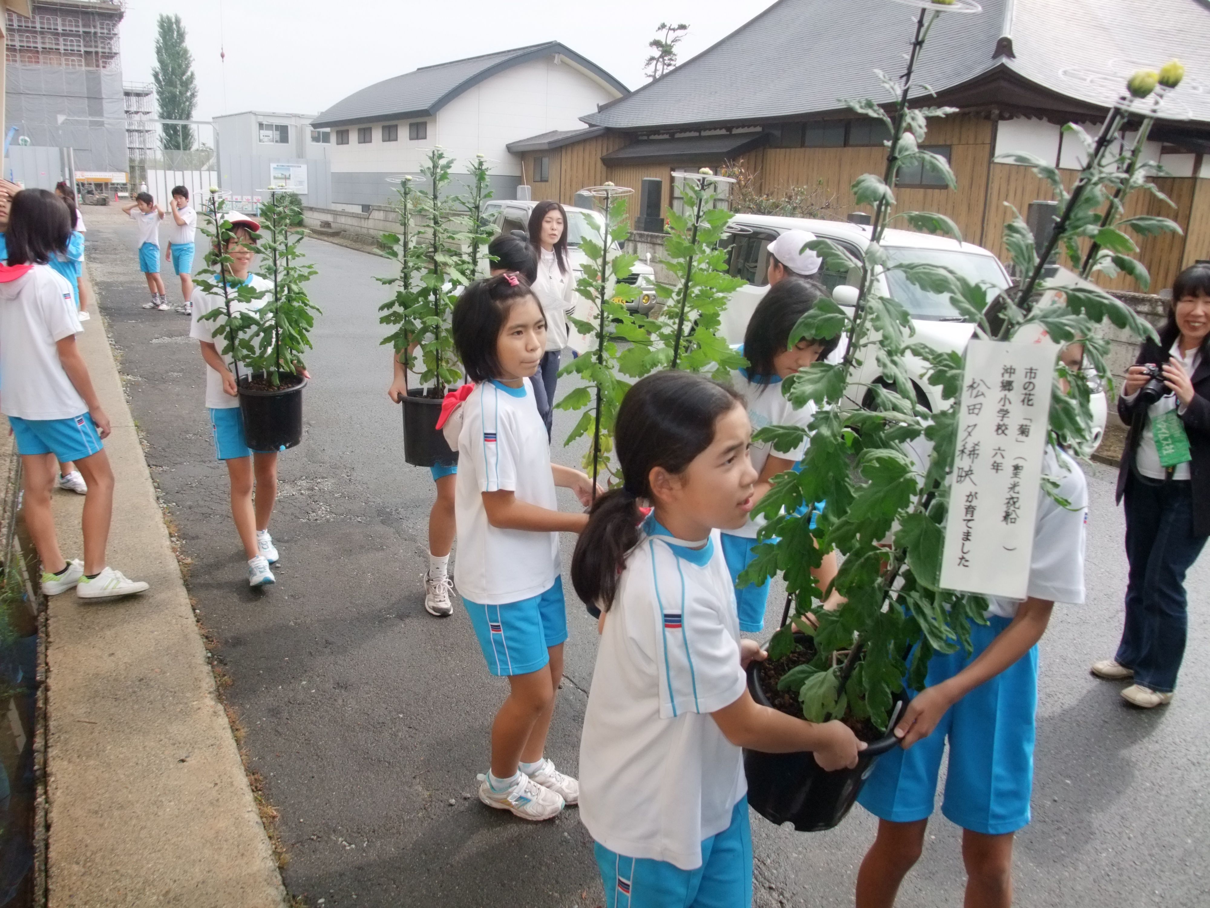 どんな花が咲くのかな
