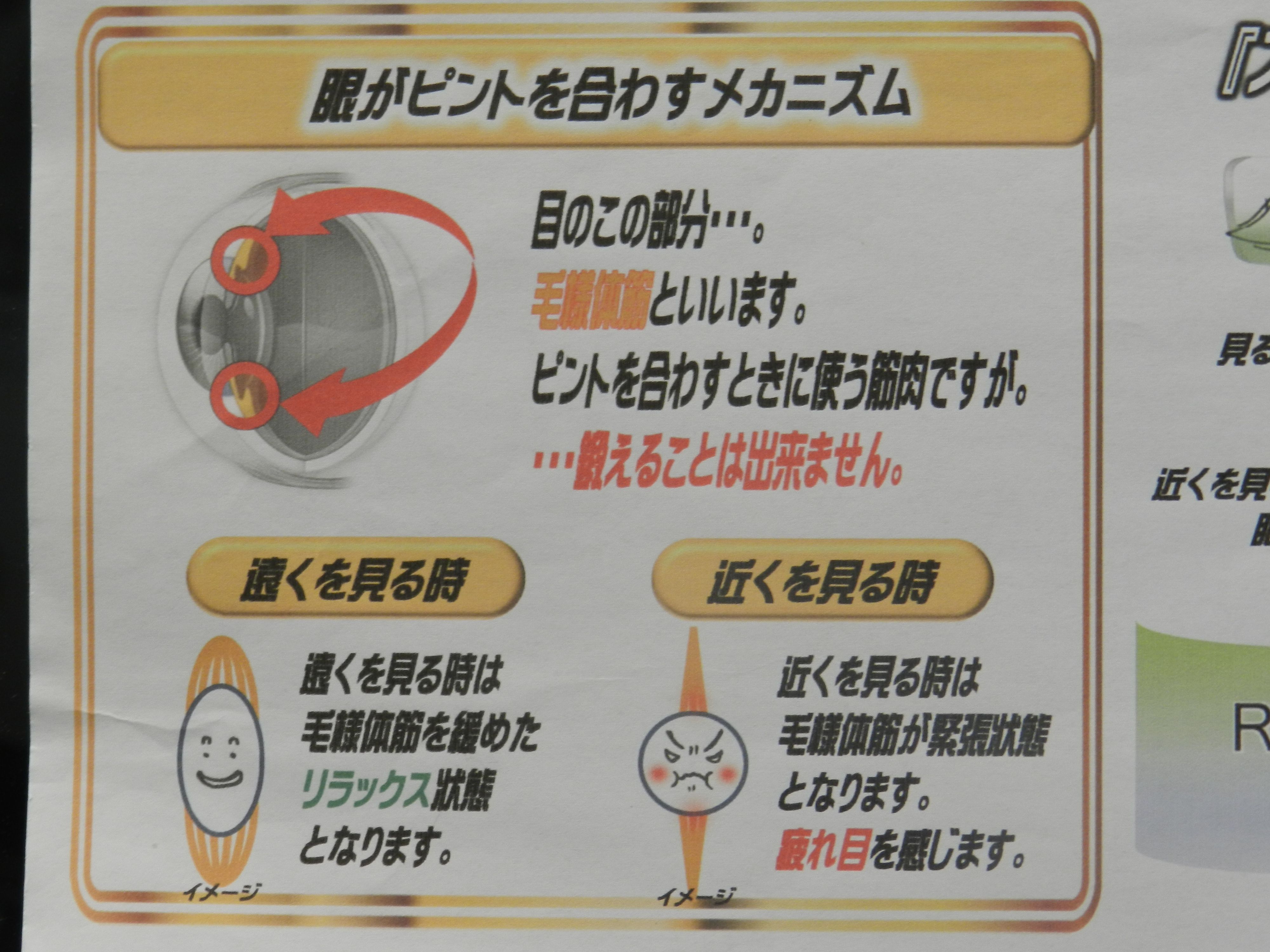 ＊眼のメカニズム！(*^▽^*)　メガネのエース上山店