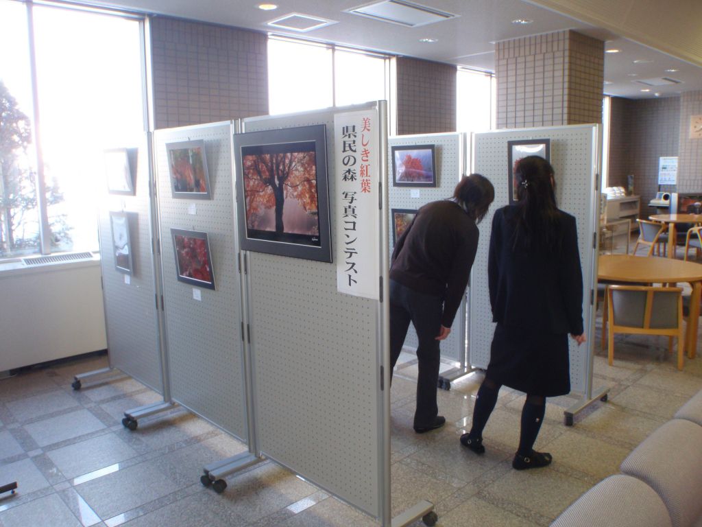 「美しき紅葉　県民の森　写真コンテスト」開催中