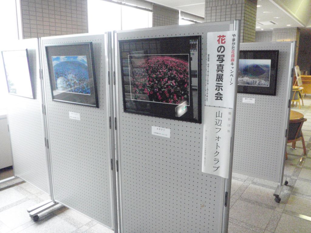 「花の写真展示会」開催中
