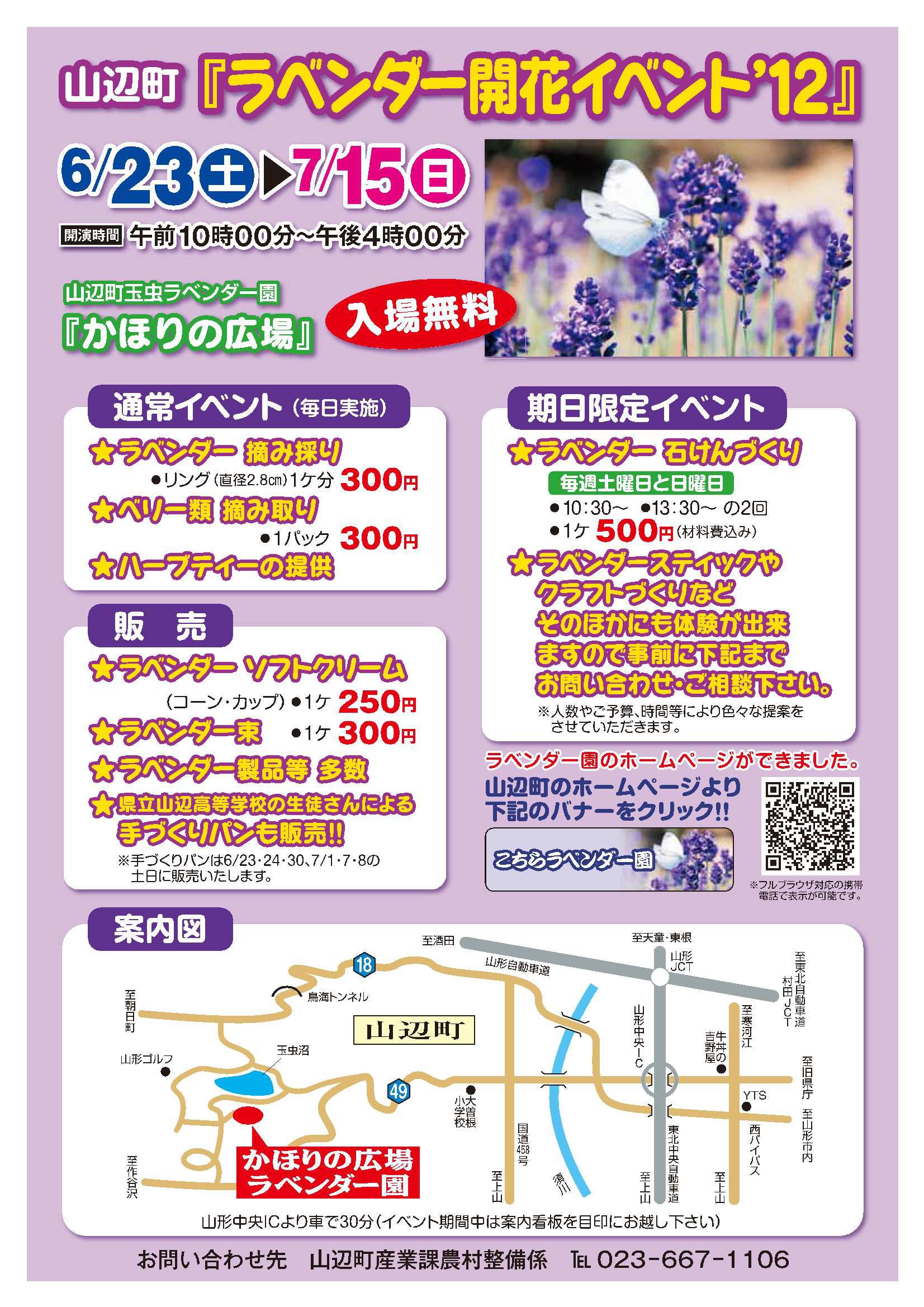 『ラベンダー開花イベント１２』ｉｎかほりの広場 