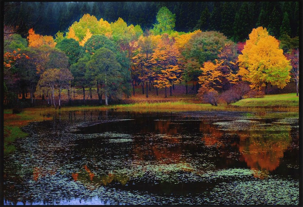 県民の森