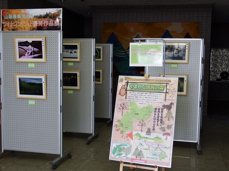 『県民の森フォトコンテスト優秀作品展』開催中