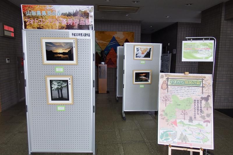 「県民の森フォトコンテスト優秀作品展」を展示しています