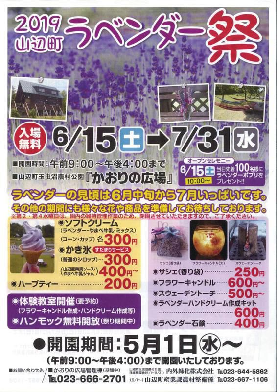 ２０１９山辺町“ラベンダー祭”