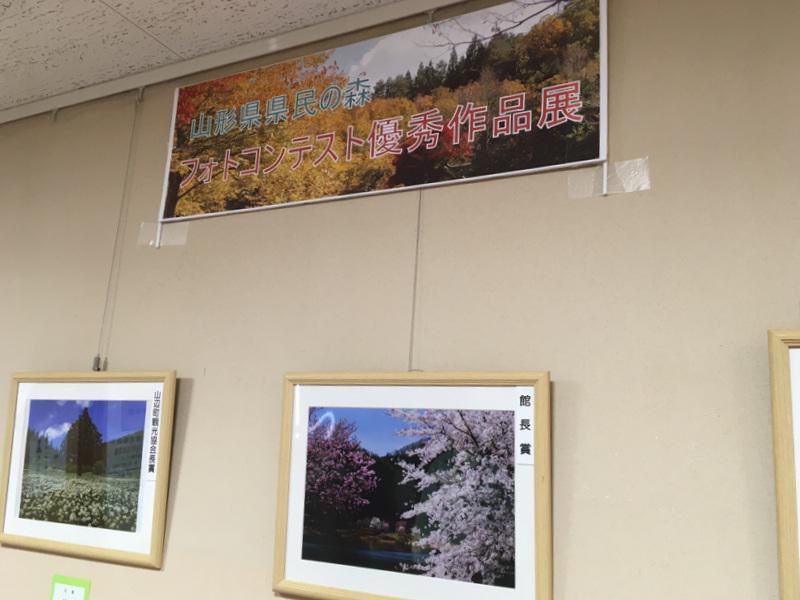 『県民の森フォトコンテスト優秀作品展』開催中