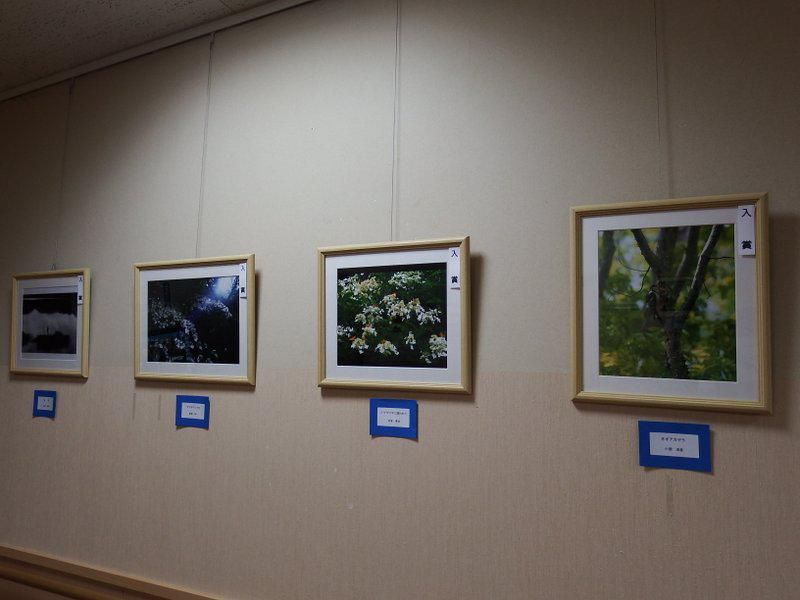 『県民の森フォトコンテスト2020優秀作品展』開催中