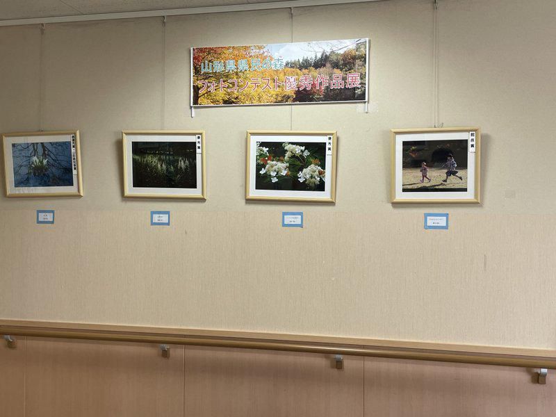 「県民の森フォトコンテスト2021優秀作品展」開催中