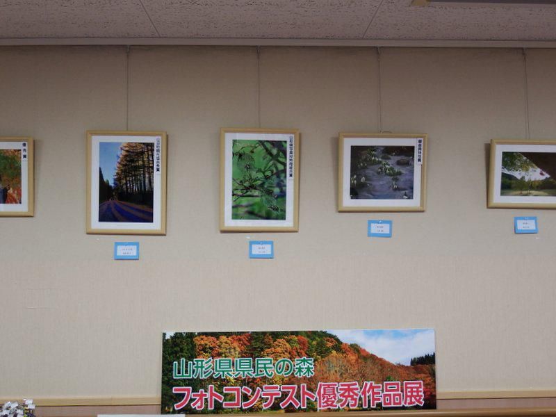 「県民の森フォトコンテスト2023」優秀作品展のお知らせ