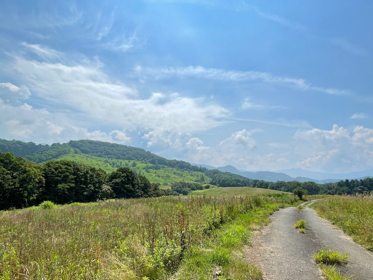 【季節の風景】真夏の日差し