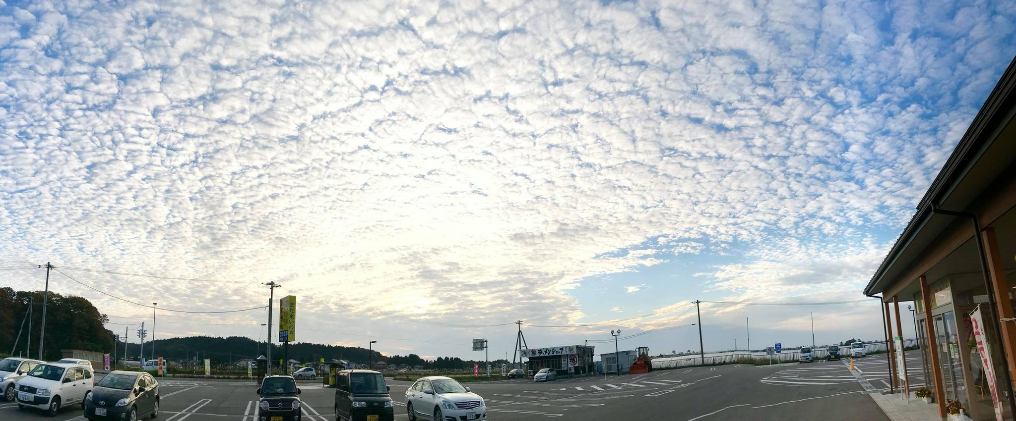 道の駅 しょうない風車市場