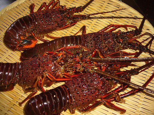 ☆味よし「もちろん高級食材もありますよ！」