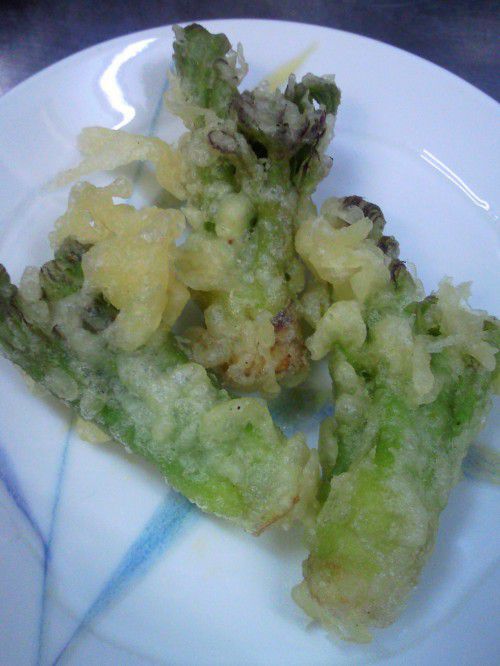 ★味よし「春の香り・・・たらの芽です！！」