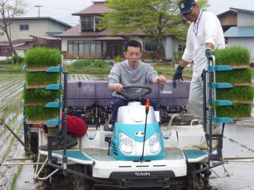 ★味よし「またまた、田植えしました！！（笑）」