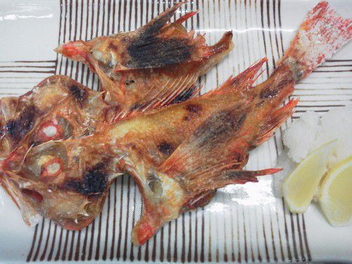 ★味よし「焼き魚もウマイですよ～♪」