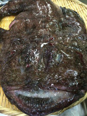 ★味よし「こちら鮟鱇（あんこう）鍋！冬は、旨いものの季節ですよ～♪」