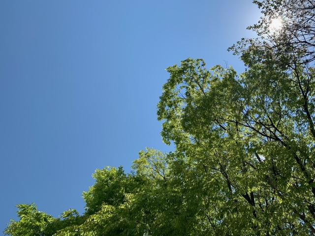 今日の空