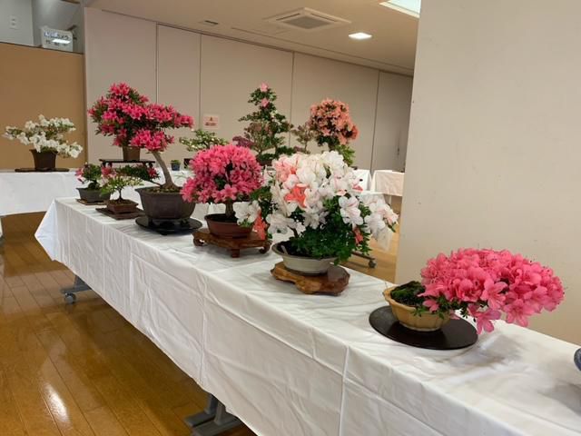 さつき展