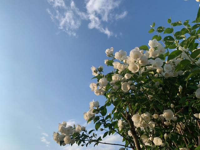 大気が不安定