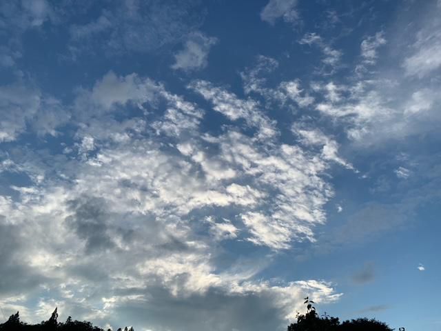 夏の空