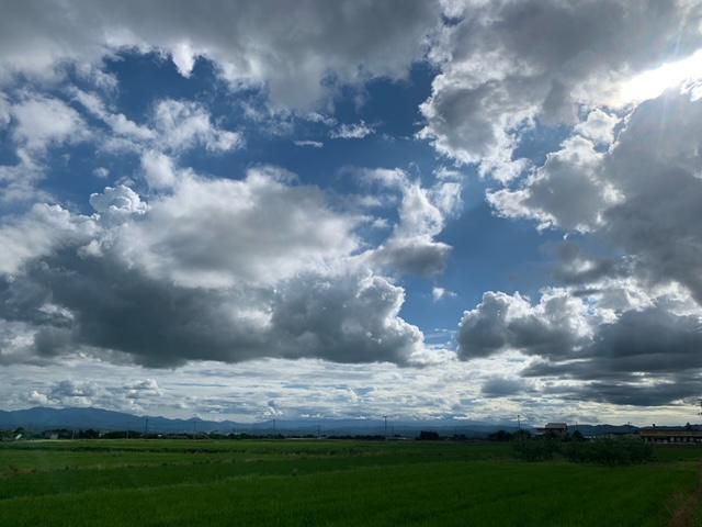 夏の空