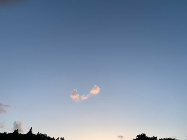 夏の空