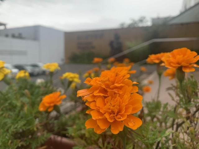 雨模様