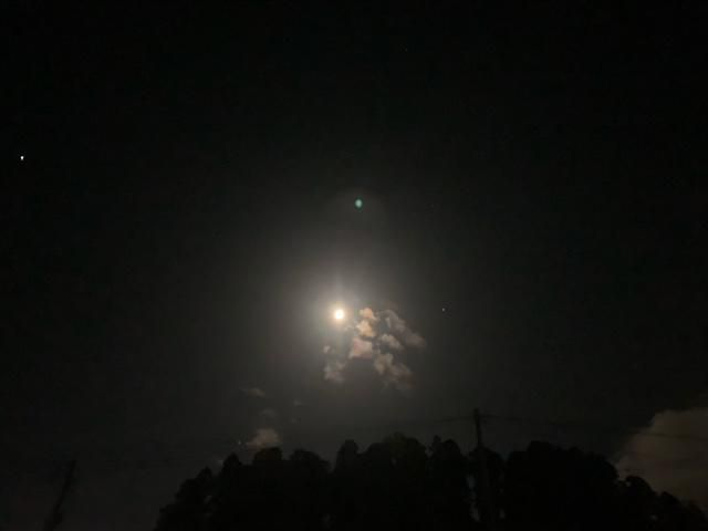 秋の月