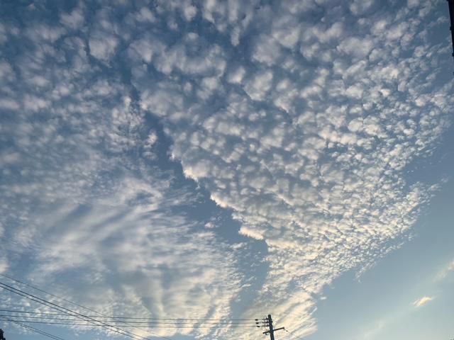 秋の空