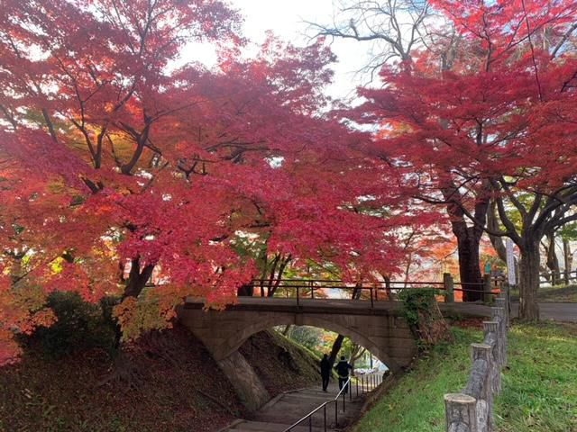烏帽子山の紅葉