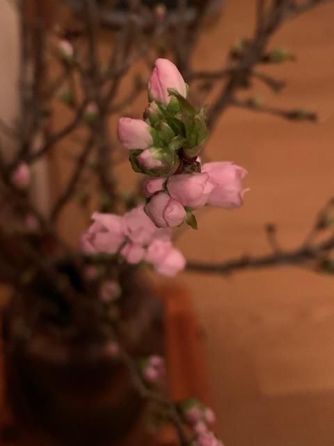 完結