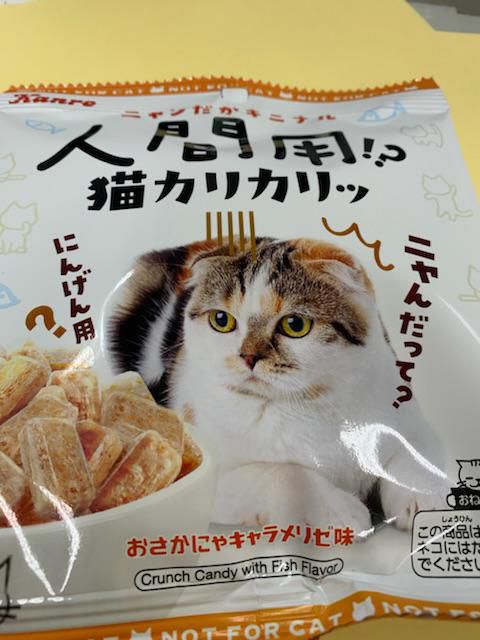 カリカリ