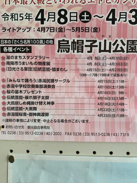 桜まつりのイベント情報