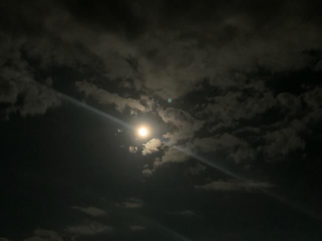 月に願いを