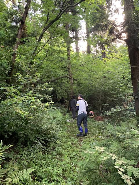 秋葉山ハイキングコース