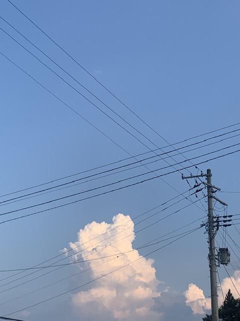 なつのそら