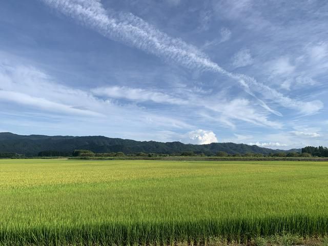 なつのそら