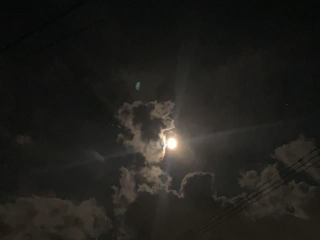 秋の月