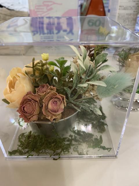 どうですか？