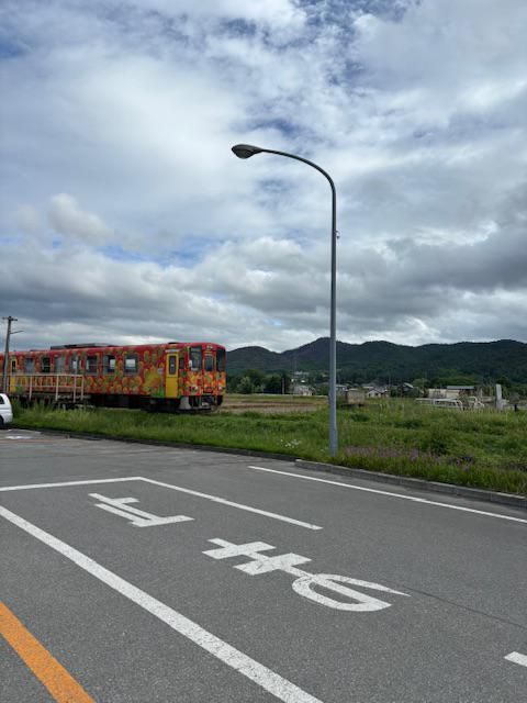 紅花はしる