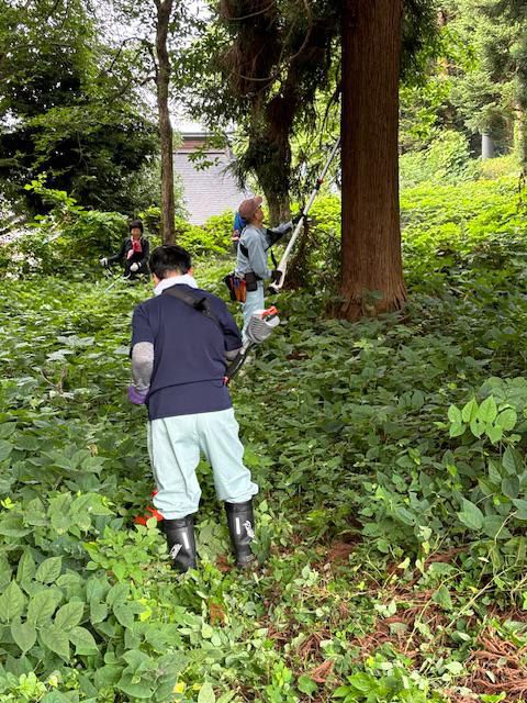 秋葉山ハイキングコース