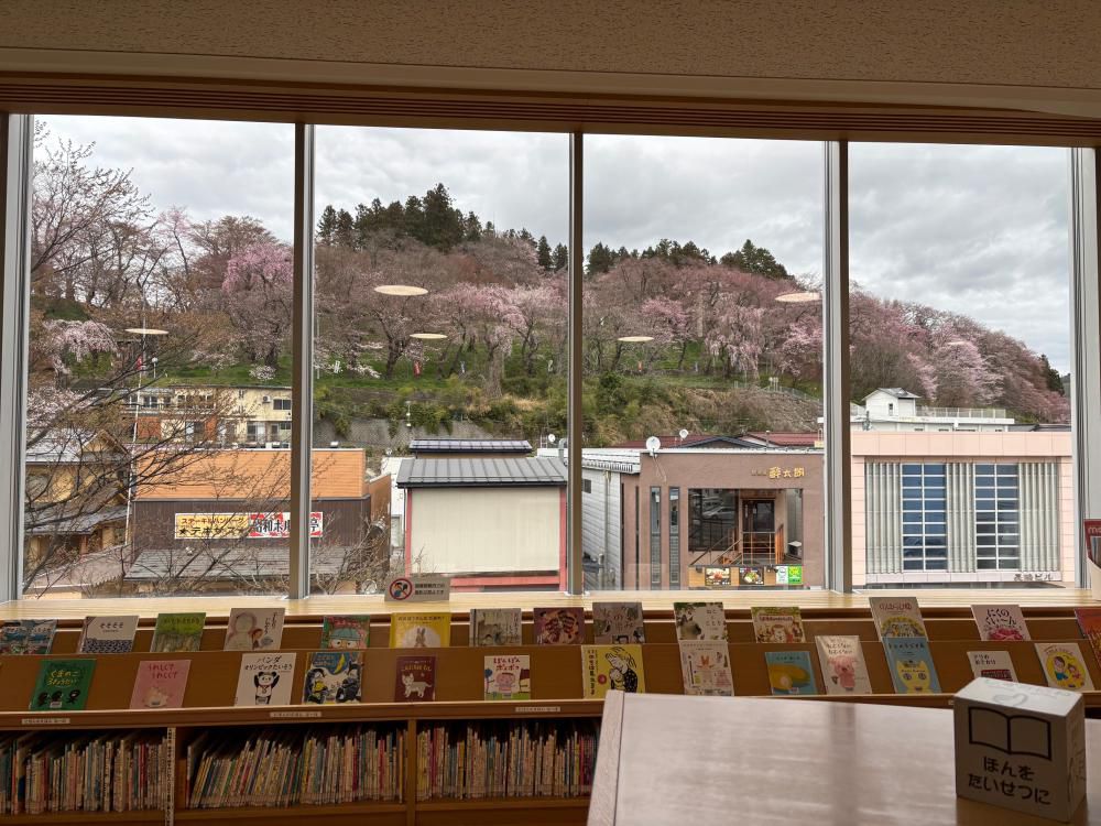 2026.4.7　烏帽子山の桜