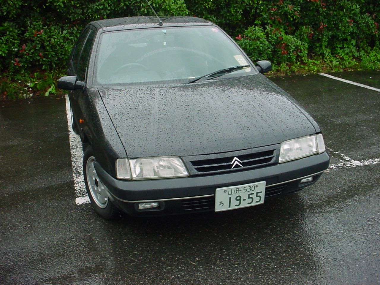 雨の白鷹・荒砥を走る。