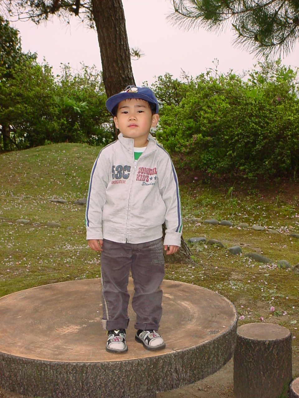 どうでしたか？